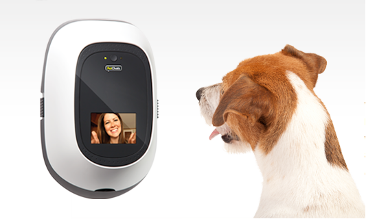 ¿Gadgets para mascotas? ¡Desde luego!
