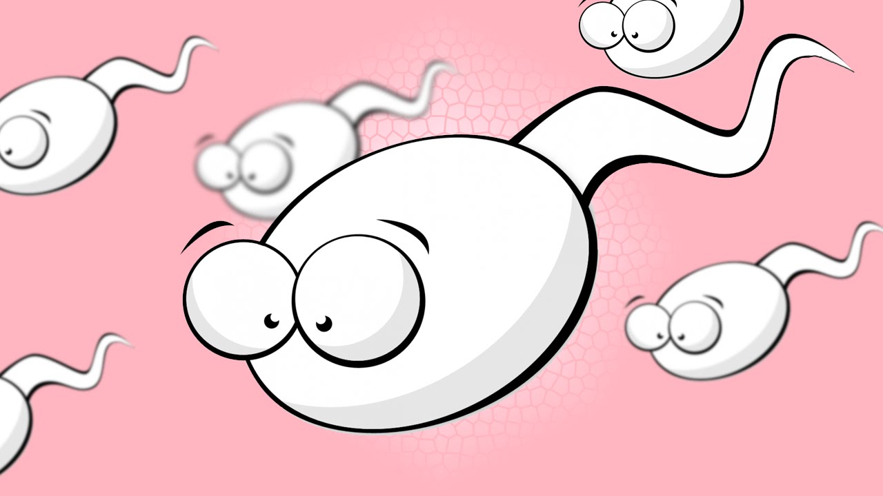 20 cosas que debes saber sobre el SEMEN