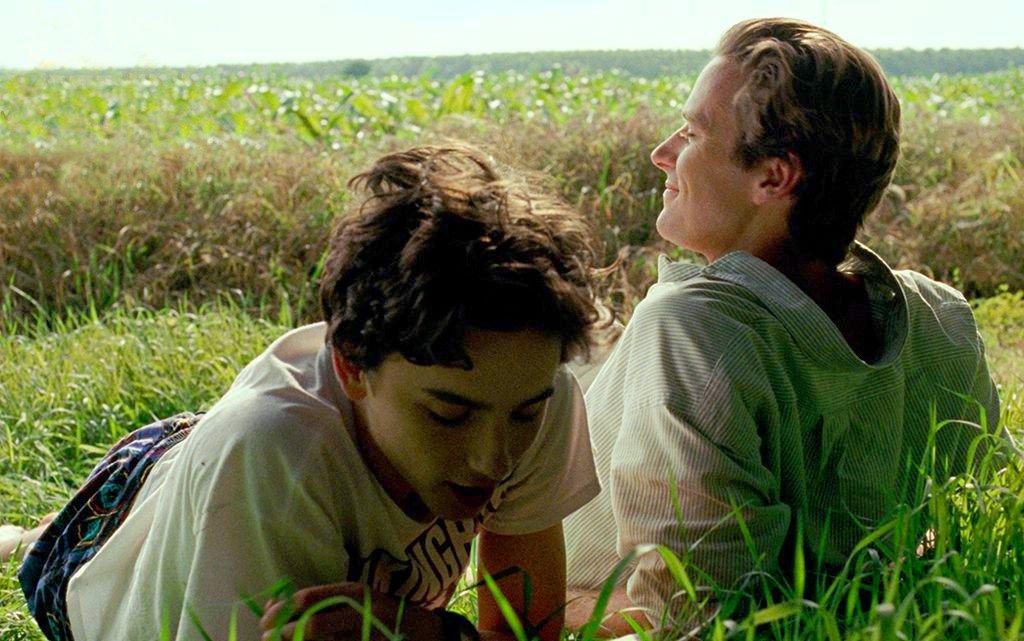 ¿Habrá secuela de  “Call me by your name”?