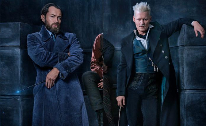 Confimado: Dumbledore no será gay en la secuela de Animales Fantásticos