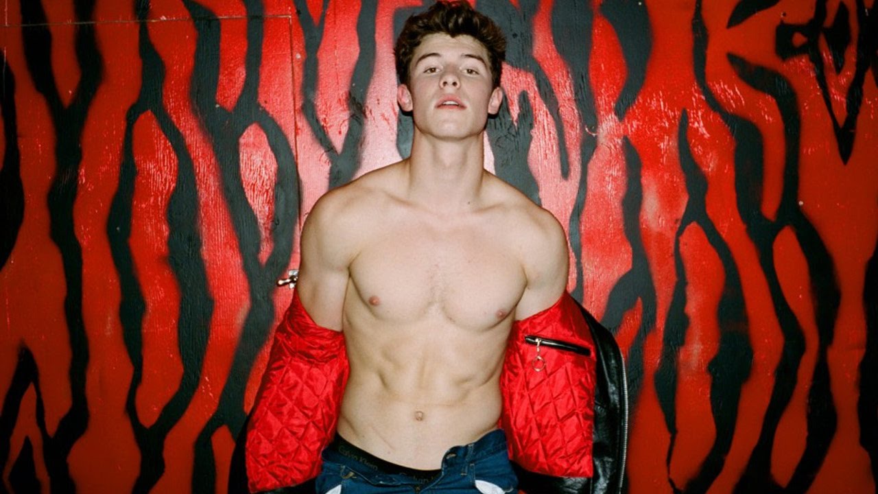 Medio Estadounidense defiende la sexualidad de Shawn Mendes 